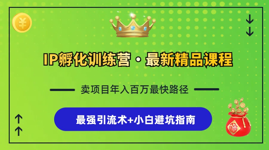 IP孵化训练营，知识付费全流程+最强引流术+小白避坑指南-染尘轻创社