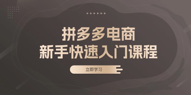 拼多多电商新手快速入门课程：涵盖基础、实战与选款，助力小白轻松上手-染尘轻创社