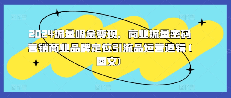 2024流量吸金变现，商业流量密码营销商业品牌定位引流品运营逻辑(图文)-染尘轻创社