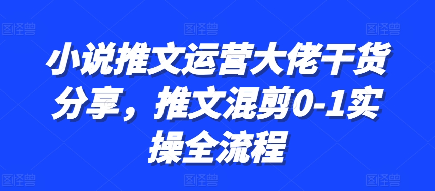 小说推文运营大佬干货分享，推文混剪0-1实操全流程-染尘轻创社