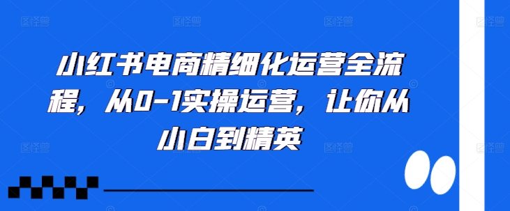 小红书电商精细化运营全流程，从0-1实操运营，让你从小白到精英-染尘轻创社