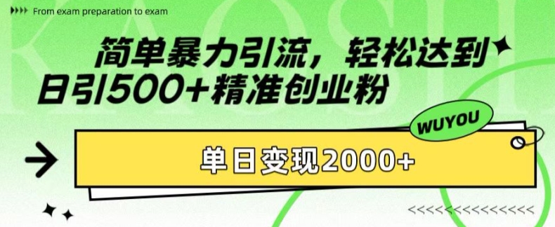 简单暴力引流，轻松达到日引500+精准创业粉，单日变现2k【揭秘】-染尘轻创社