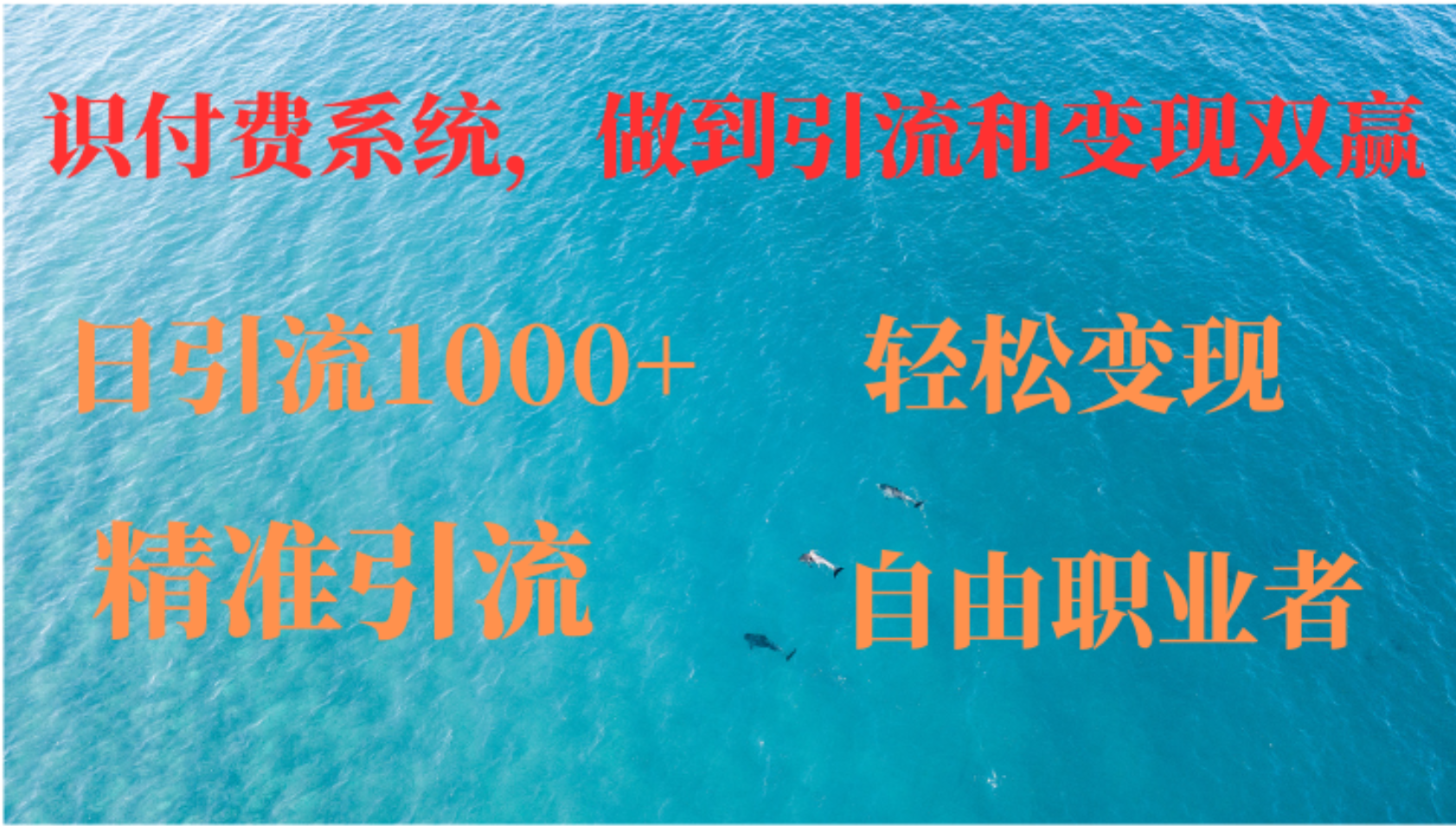 如何搭建自己的知识付费系统，做到引流和变现双赢-染尘轻创社