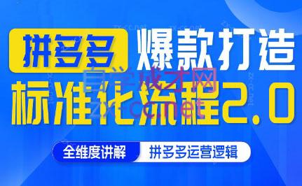 云杉老师·拼多多爆款打造标准化流程2.0-染尘轻创社