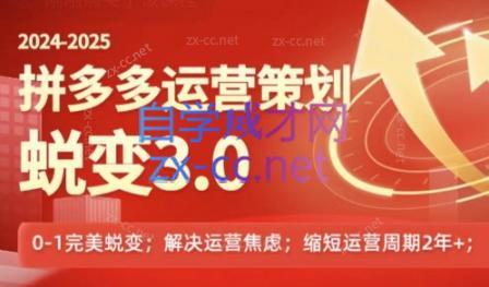 大力老师·2024拼多多运营策略蜕变3.0-染尘轻创社