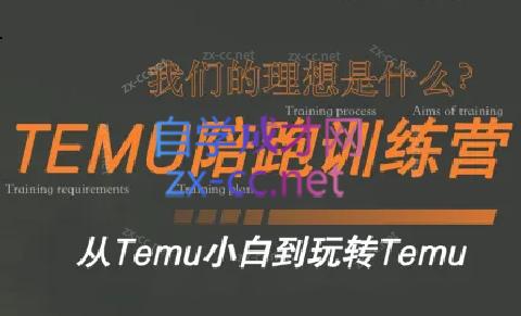 苗苗·拼多多跨境（temu）课程-染尘轻创社