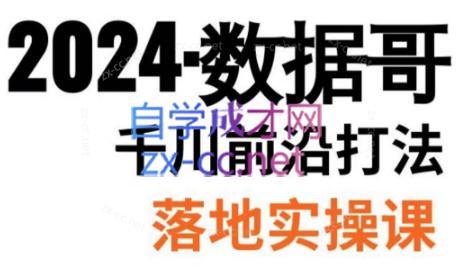 数据哥·2024年千川前沿打法落地实操课-染尘轻创社