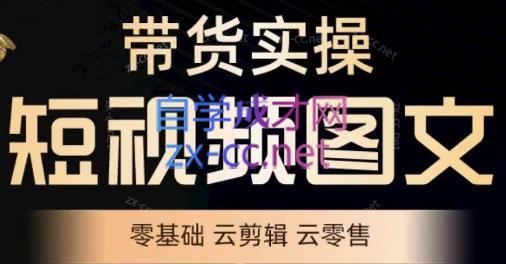 鑫哥·2024零基础短视频带货实操营-染尘轻创社