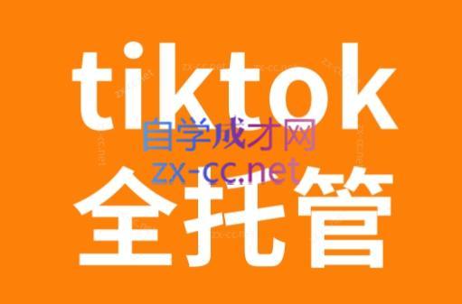 TikTok跨境电商全托管运营模式精品课-染尘轻创社