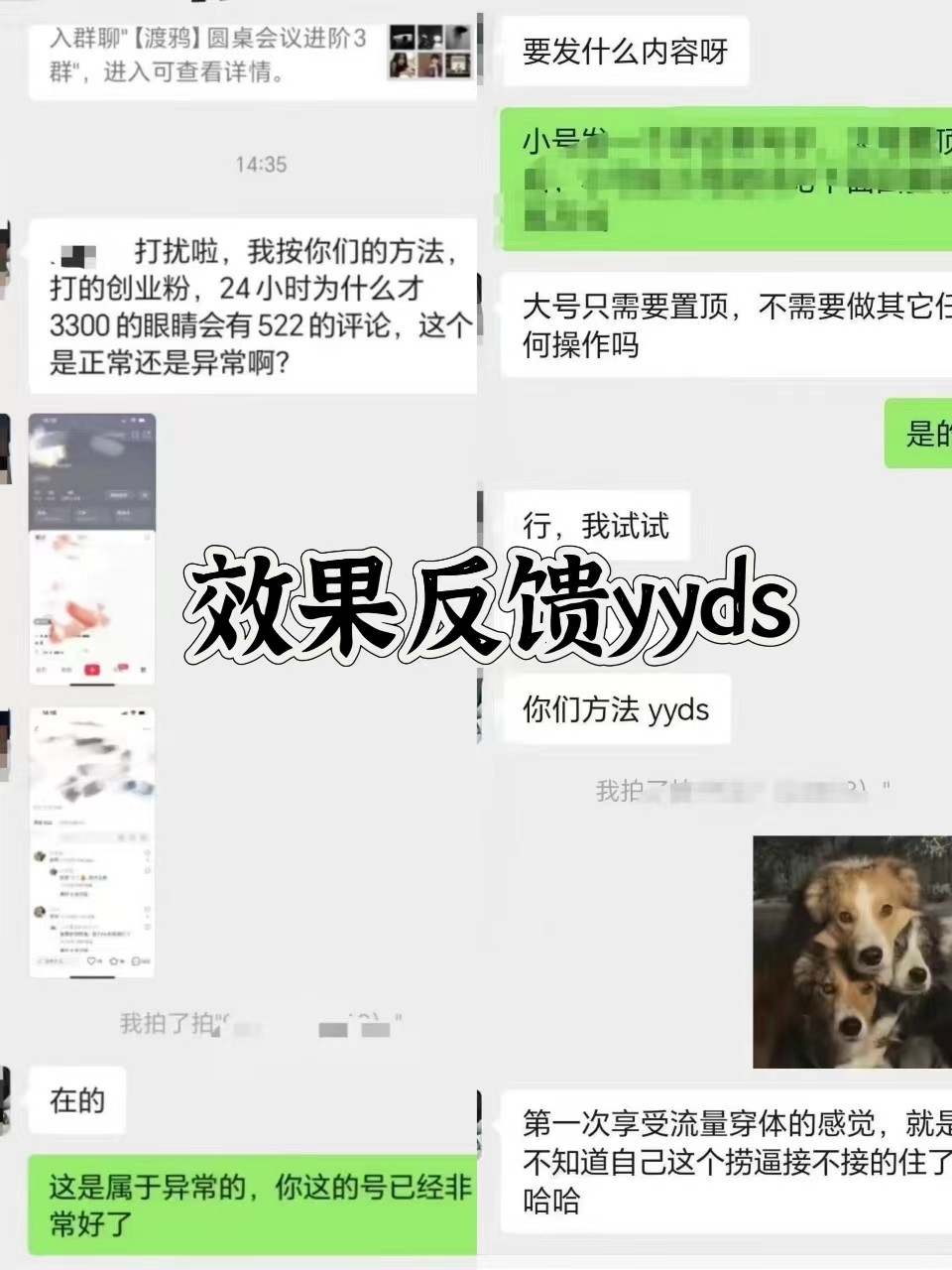 图片[3]-抖音小红书视频号全平台引流打法，全自动引流日引2000+精准客户-染尘轻创社